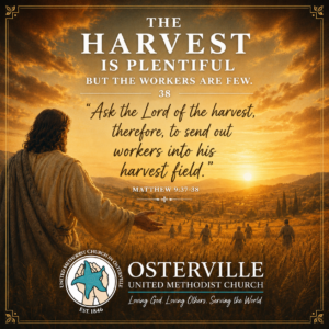 Weekly  Tidings