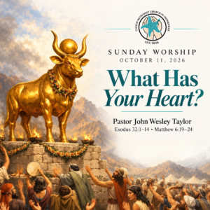 Weekly Tidings